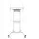 Neomounts Floor stand | FL55-875WH1 TV trolley | Adjustable Height | 55-100 