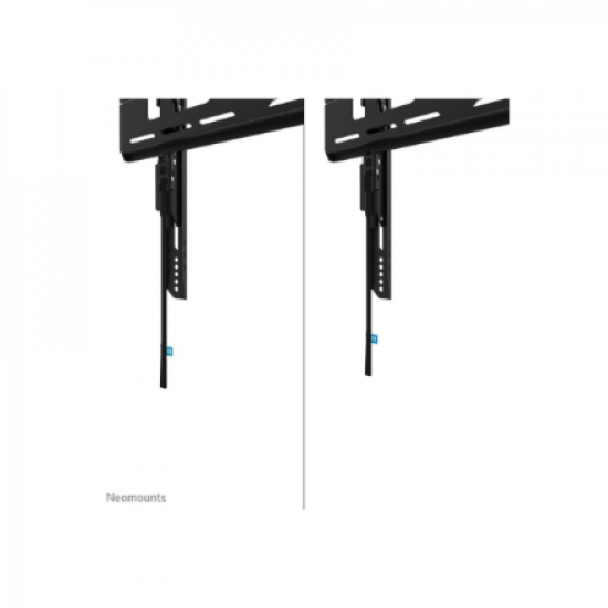 Neomounts Wall mount | WL30-750BL14 Heavy duty wall mount | Adjustable Height | 32-75 