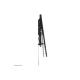 Neomounts Wall mount | WL30-750BL16 Heavy duty wall mount | Adjustable Height | 42-86 