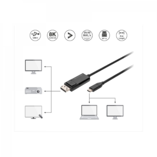 Digitus | Bi-Directional Adapter Cable 2 m | AK-300334-020-S | USB Type C to DisplayPort
