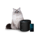 Cecotec Smart Pet Fountain | Pumba 2500 Refresh | Capacity 2.5 L | Black