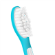 Philips | Replacement brush heads | HX6042/90 Sonicare | Heads | For kids | Number of brush heads included 2 | White/Blue