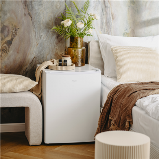 Adler Refrigerator | AD 8097 | Energy efficiency class E | Free standing | Larder | Height 63.2 cm | Fridge net capacity 58 L | 39 dB | White