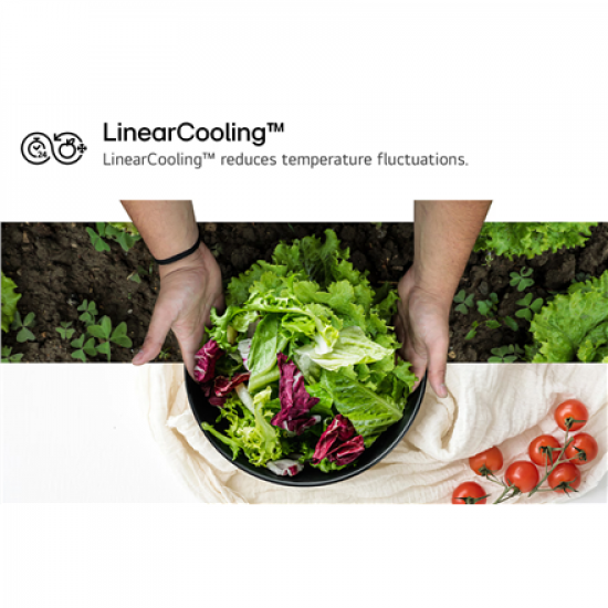 LG Refrigerator | GBV21L0ESW | Energy efficiency class E | Free standing | Combi | Height 186 cm | No Frost system | Fridge net capacity 234 L | Freezer net capacity 110 L | Display | 35 dB | White