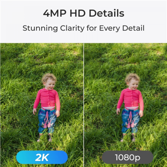 Reolink E Series E330 | PTZ | 5 MP | 4mm/F1.6 | Micro SD, Max. 512 GB