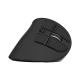 Natec | Vertical Mouse | Euphonie Pro | Wireless | Bluetooth, 2.4GHz | Black
