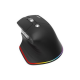 Acer Easy Fit wireless Mouse |2.4GHz and BT5.0 | Black | Acer