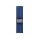 Apple 42mm Blue Ribbon Nike Sport Loop | Apple