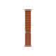 Apple | 49mm Terra Cotta Alpine Loop - Large - Natural Titanium Finish