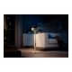 Epson Adjustable Projector Floor Stand | ELPFS01