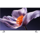 Xiaomi TV S Pro Mini LED 75 2026 4K UHD (3840 x 2160) | Xiaomi