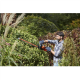 BLACK & DECKER | Hedge trimmer, BEHTS501-QS, 600 W