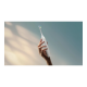 Philips Sonic Electric Toothbrush | HX7108/01 Sonicare Series 5300 | Rechargeable | For adults | Number of brush heads included 1 | Number of teeth brushing modes 1 | White