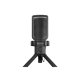 Genesis | Microphone | Radium 250 | Noise reduction