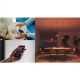 Philips Hue E WCA 806 A60 E27 2kit EU | E27 | 8 W | 16 million colours, White and colour light