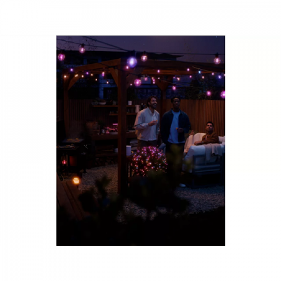 Philips Hue Festavia Globe Outdoor String Lights, 7m Extension | 30 W | Bluetooth, Zigbee