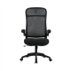 Onex Gaming Office Chair | Skyflex Premium Mesh | Black