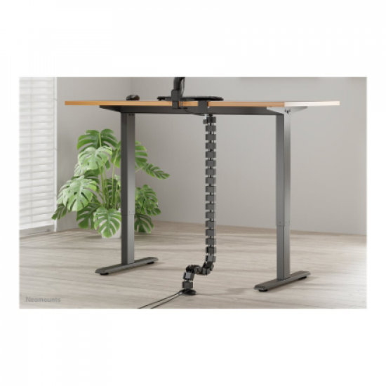 Neomounts Cable spine - clamp-on design - universal | ADS06-131BL