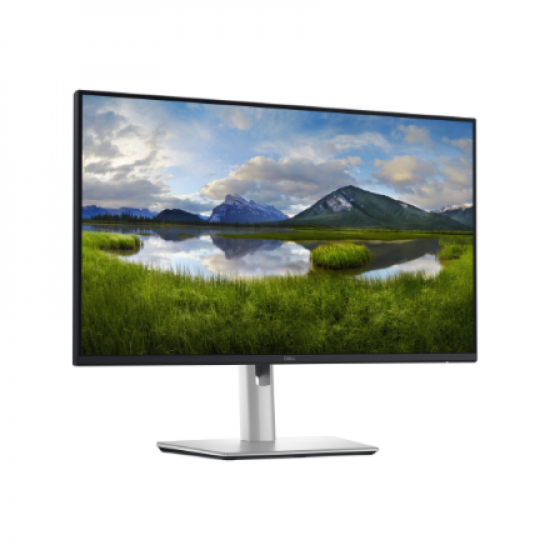 Dell | P2425DE | 24 