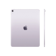 Apple iPad Air 13