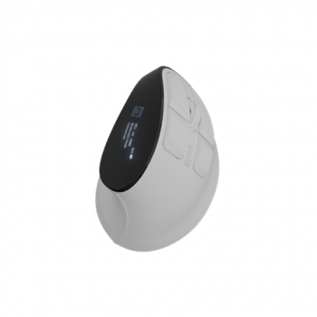 Natec Mouse | Euphonie Pro | Wireless | 2.4 GHz, Bluetooth | White