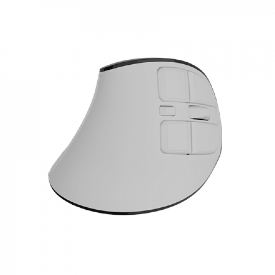 Natec Mouse | Euphonie Pro | Wireless | 2.4 GHz, Bluetooth | White