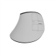 Natec Mouse | Euphonie Pro | Wireless | 2.4 GHz, Bluetooth | White