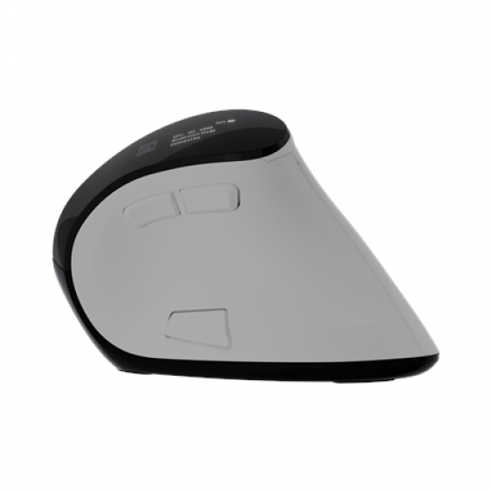 Natec Mouse | Euphonie Pro | Wireless | 2.4 GHz, Bluetooth | White
