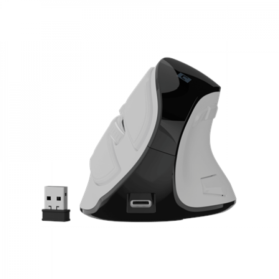 Natec Mouse | Euphonie Pro | Wireless | 2.4 GHz, Bluetooth | White