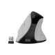 Natec Mouse | Euphonie Pro | Wireless | 2.4 GHz, Bluetooth | White