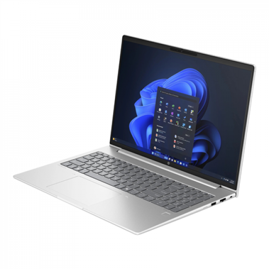 HP ProBook 460 G11 16 WUXGA AMD R5-7535U/16GB/512GB/AMD Radeon Graphics/WIN11 Pro/ENG kbd/Silver/1Y Warranty | HP ProBook | 465 G11 | Pike silver | 16 
