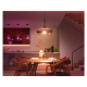 Philips Hue WCA 1100 A60 2P EU | E27 | 8.1 W | White and colour light | Bluetooth and Zigbee