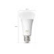 Philips Hue WA 1600 A67 1P EU | E27 | 11.8 W | White and colour light | Bluetooth and Zigbee