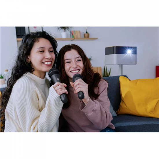 Epson Wireless Karaoke Microphone Pair | ELPKM01