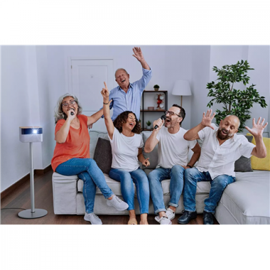 Epson Wireless Karaoke Microphone Pair | ELPKM01