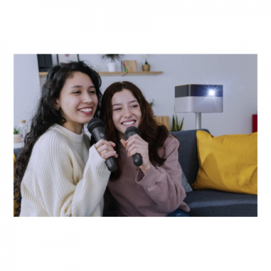 Epson Wireless Karaoke Microphone Pair | ELPKM01