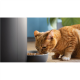 Philips Smart Feeder with Camera | PAW5320/02 5000 Series