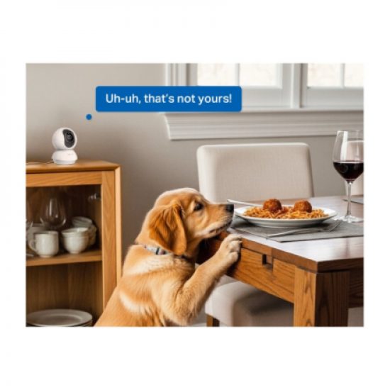 TP-Link Tapo C250 Pan/Tilt AI Home Security Wi-Fi Camera