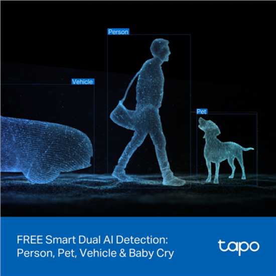 TP-LINK Tapo C245D | Dual Lens Pan/Tilt Security Camera | Dome | 3 MP | 3.1mm/F1.6 | MicroSD Card up to 512 GB