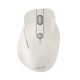 Asus MD105 MOUSE/MK-WH//BT+2.4GHZ