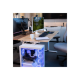 Arozzi Electric Standing Desk | Arena Nordico | Birch