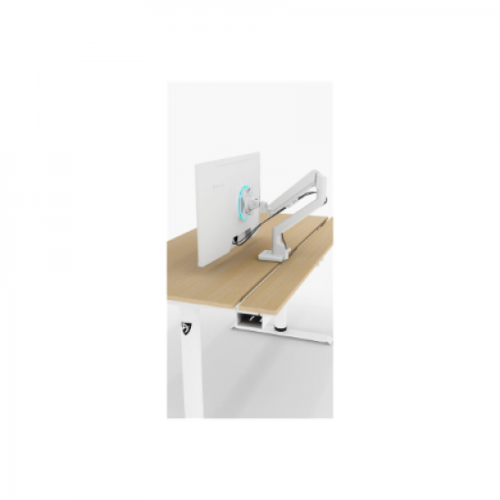 Arozzi Electric Standing Desk | Arena Nordico | Birch
