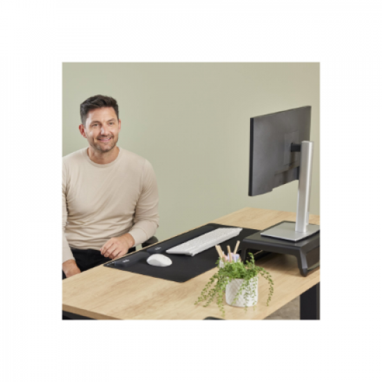 Fellowes