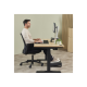 Fellowes