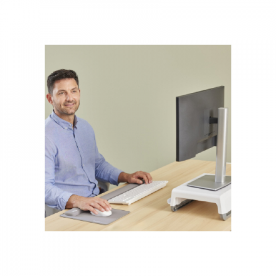 Fellowes