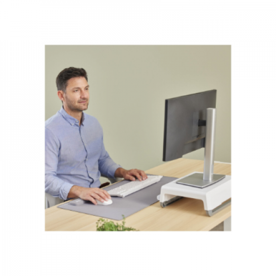 Fellowes