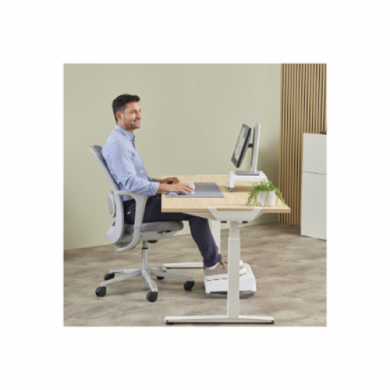 Fellowes
