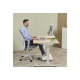 Fellowes