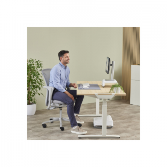 Fellowes