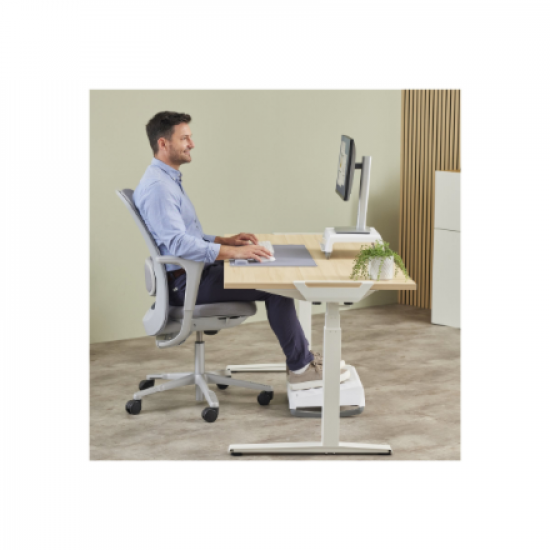 Fellowes